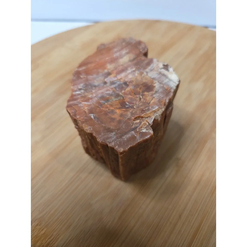 Natural Raw Petrified Wood Specimen Fossil 1.5 lbs 4